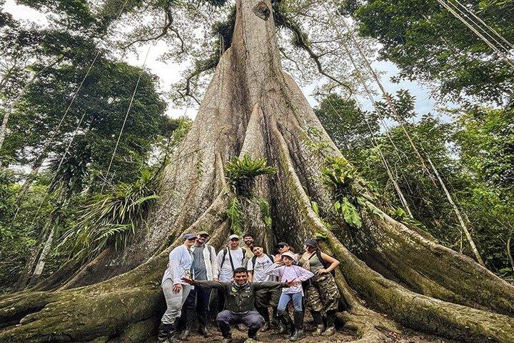 アマゾン川での3日間2泊