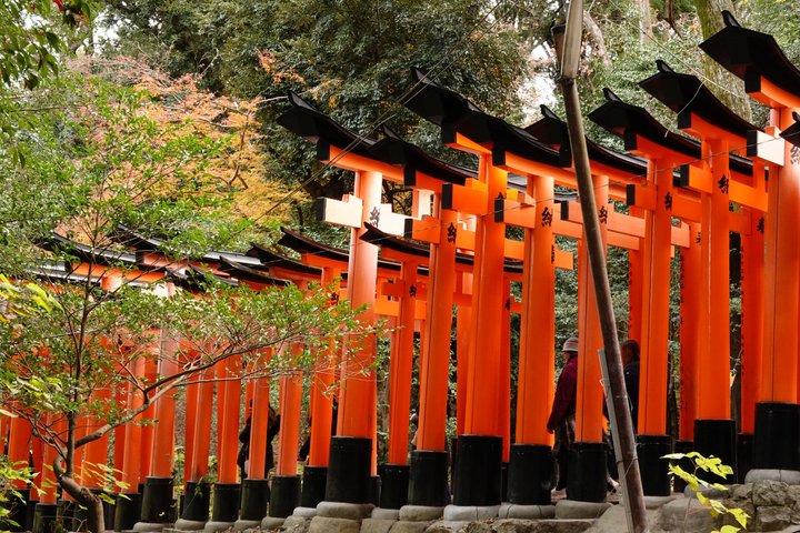 Visite privée guidée de Fushimi Inari et Nara