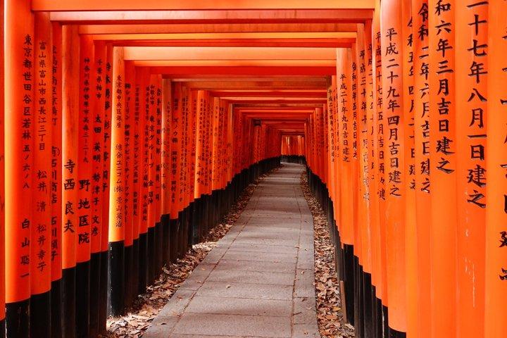 Visite privée guidée de Fushimi Inari et Nara