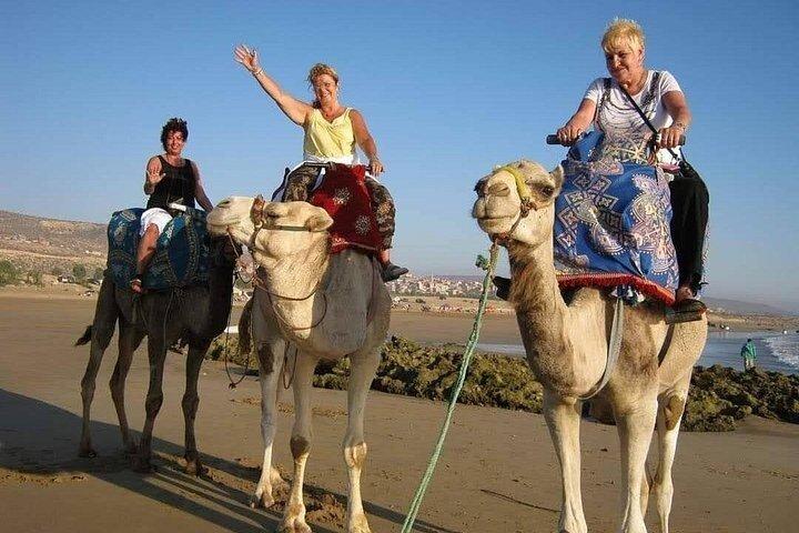 Camel riding including Couscous lunch and Quad biking