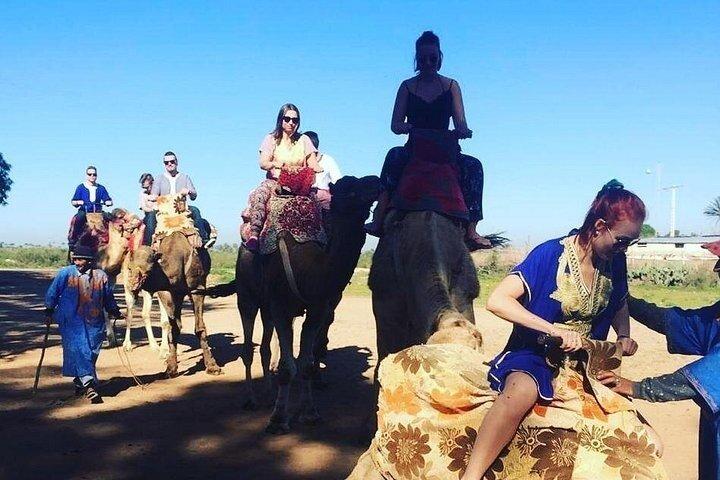Camel riding including Couscous lunch and Quad biking