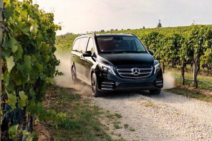 Hawke’s Bay Luxury Wine Tour for Two with Winery Lunch