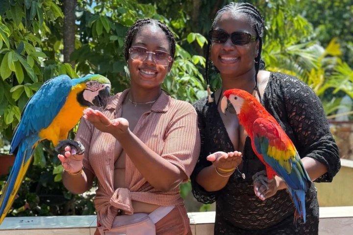 Montego Bay: Bamboo Rafting & Massage