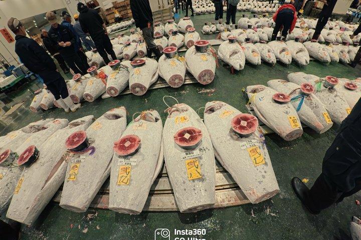 VIP Tuna auction experience WI TOKYO NATIVE