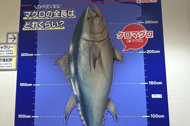 VIP Tuna auction experience WI TOKYO NATIVE