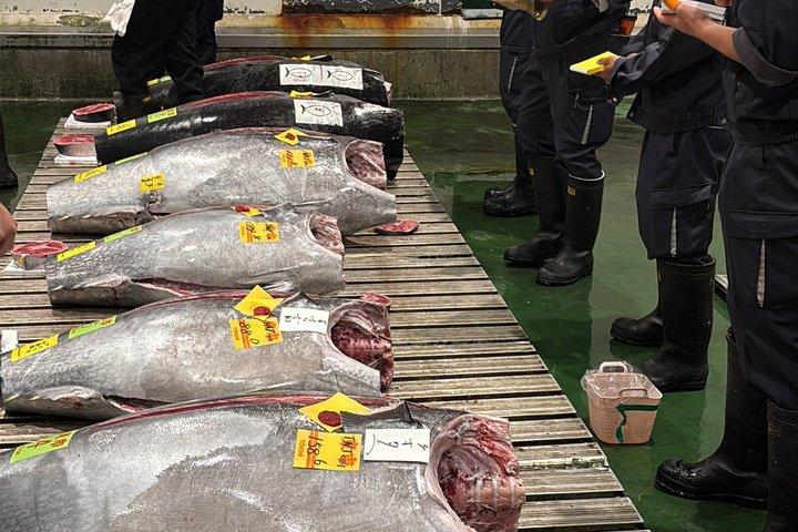 VIP Tuna auction experience WI TOKYO NATIVE