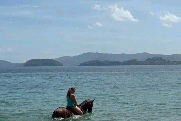 Exotic Beaches Excursion & Refreshing in a Waterfall (half day)