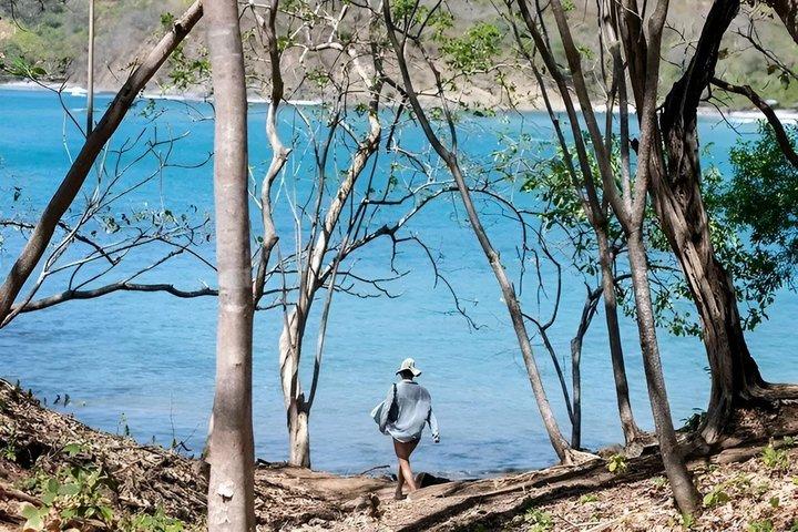 Exotic Beaches Excursion & Refreshing in a Waterfall (half day)