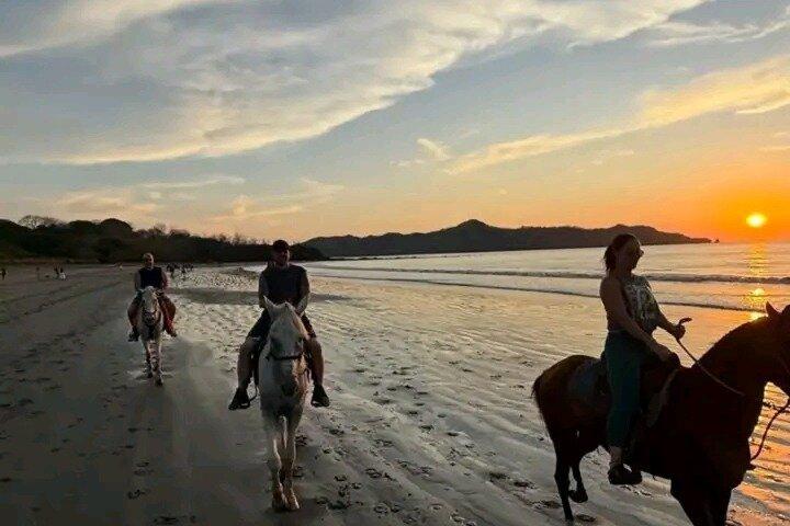 Exotic Beaches Excursion & Refreshing in a Waterfall (half day)