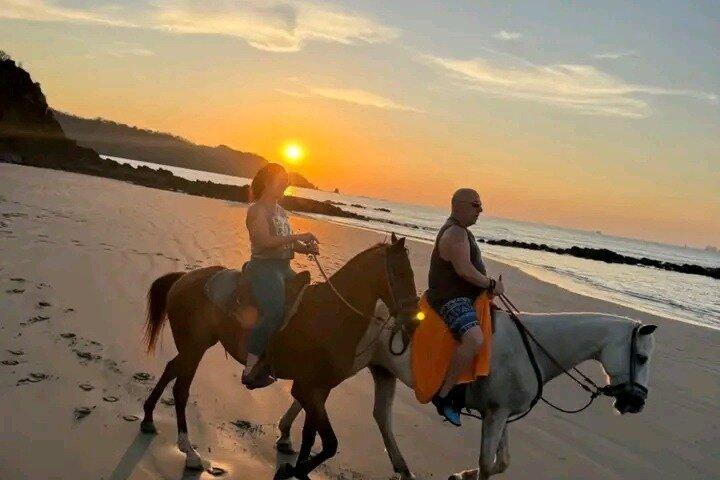 Exotic Beaches Excursion & Refreshing in a Waterfall (half day)