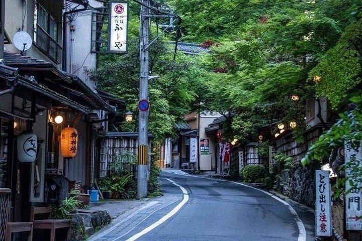 京都ハイライトプライベートガイド10時間ツアー（大阪または京都発）