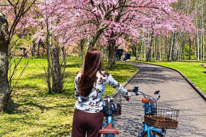 Opdag Tokyos skjulte gader på cykel