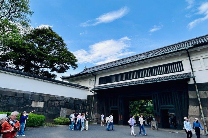 東京: 皇居と将軍歴史散策ツアー