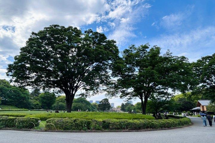 東京: 皇居と将軍歴史散策ツアー