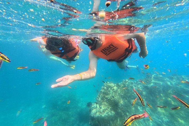 Private Snorkeling tour at Los Arcos de Mismaloya with shuttle