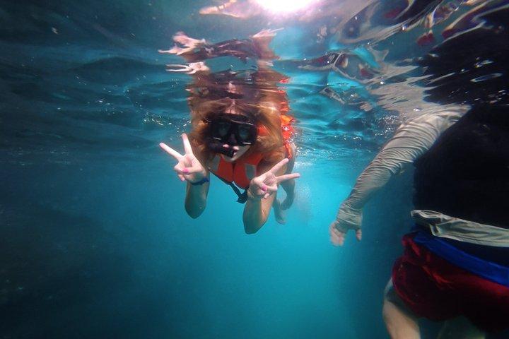 ミスマロヤのロスアルコスでのプライベートシュノーケリングツアー（送迎付き）