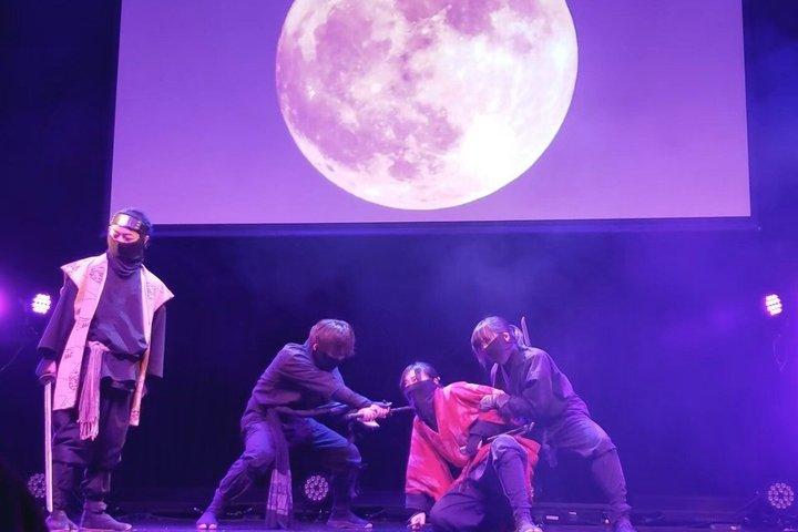 Asakusa Kids Ninja Experience (45 or 60 Min)