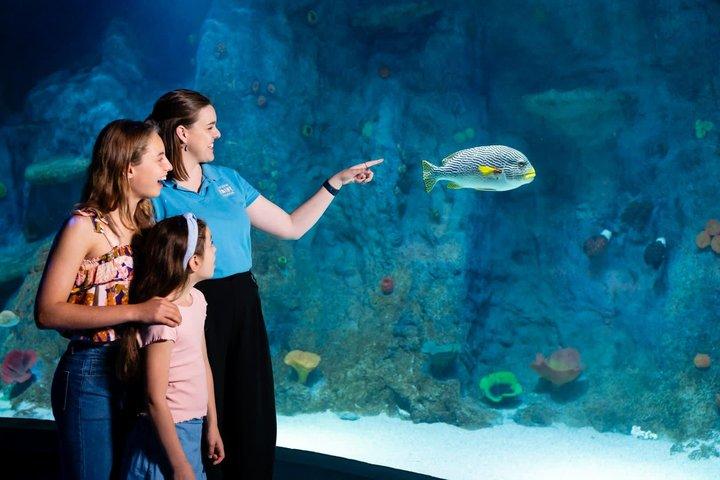 Sea Life Melbourne Aquarium Admission Ticket