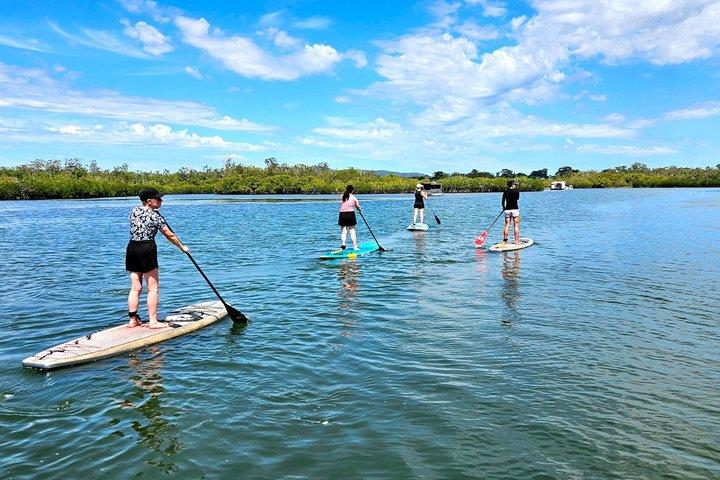 Noosa Stand Up Paddle Gruppenlektion