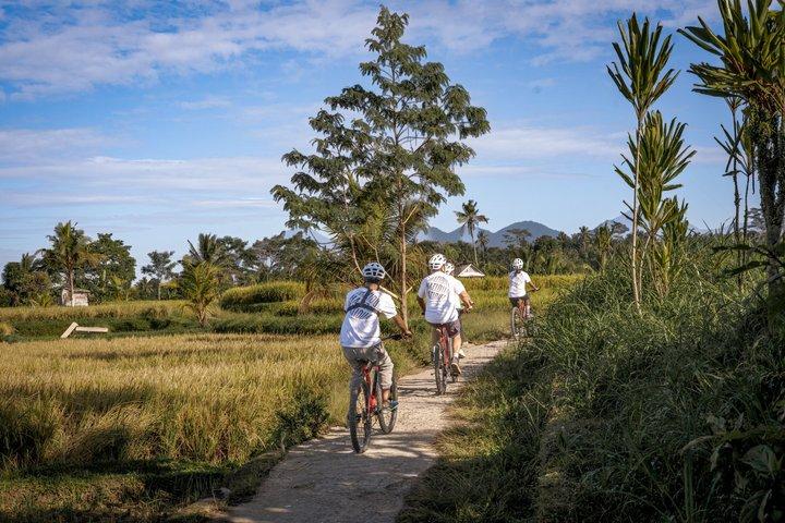 Ciclismo in discesa a Bali: Foresta di bambù, risaie e campagna