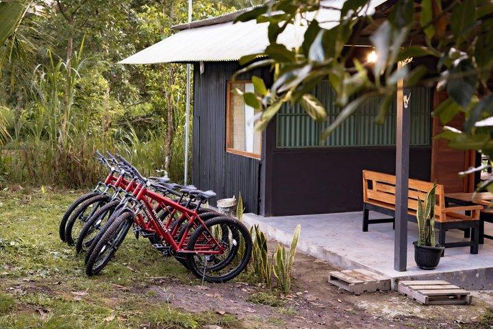Ciclismo in discesa a Bali: Foresta di bambù, risaie e campagna
