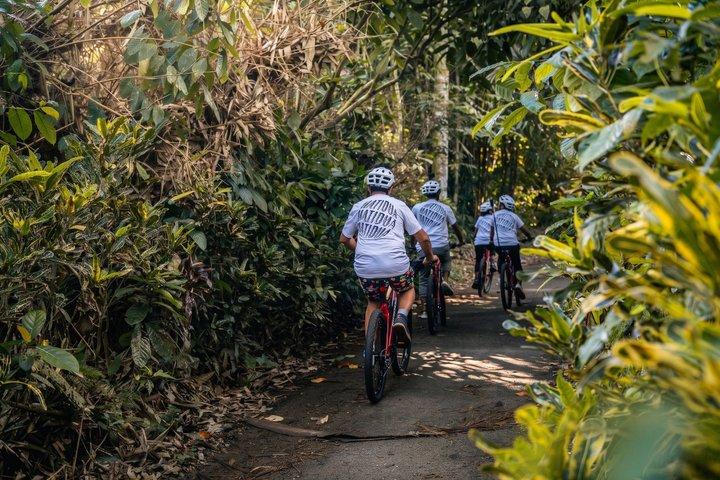 Ciclismo in discesa a Bali: Foresta di bambù, risaie e campagna