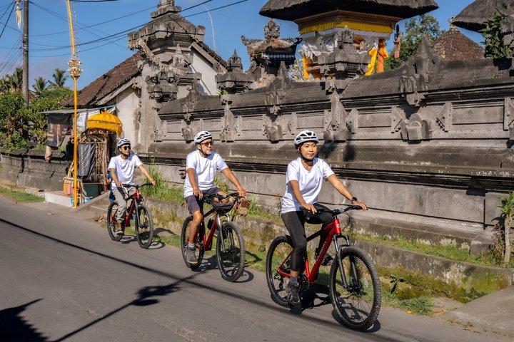 Ciclismo in discesa a Bali: Foresta di bambù, risaie e campagna