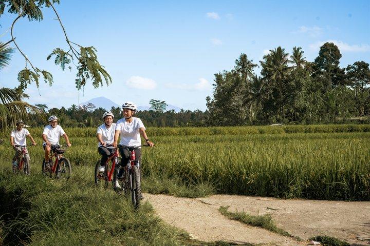 Ciclismo in discesa a Bali: Foresta di bambù, risaie e campagna