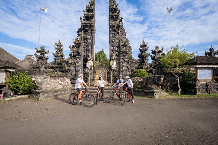 Ciclismo in discesa a Bali: Foresta di bambù, risaie e campagna