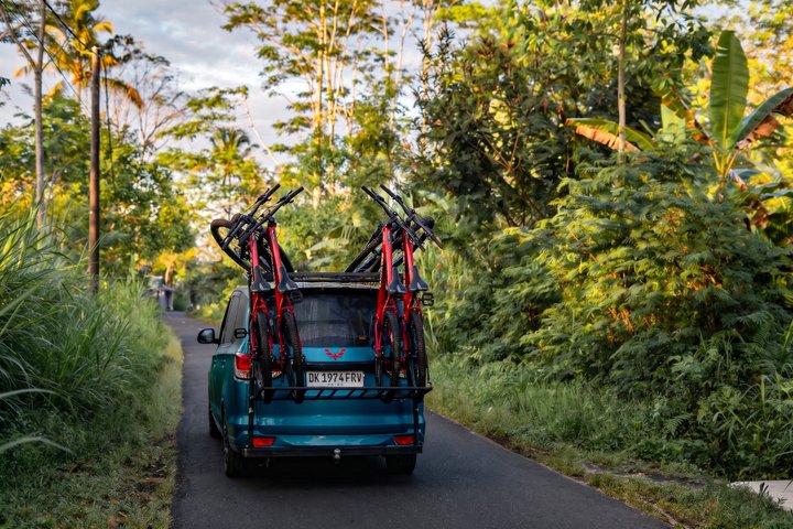 Ciclismo in discesa a Bali: Foresta di bambù, risaie e campagna