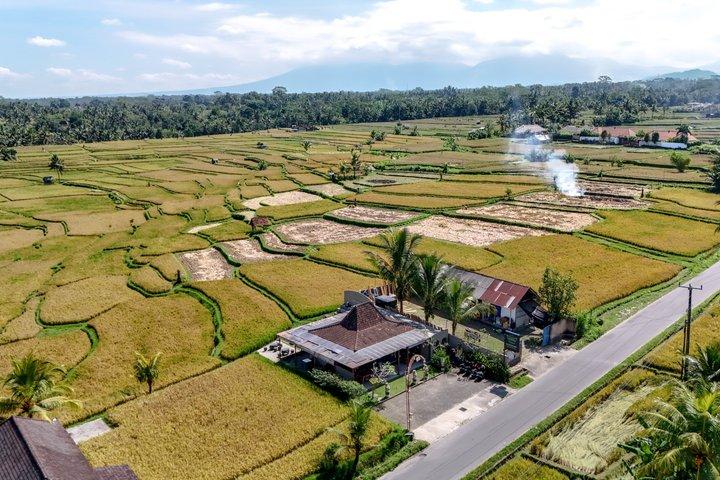 Ciclismo in discesa a Bali: Foresta di bambù, risaie e campagna