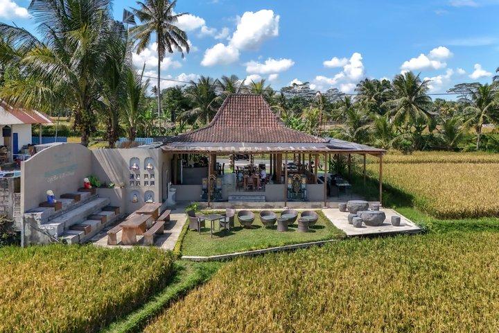 Ciclismo in discesa a Bali: Foresta di bambù, risaie e campagna
