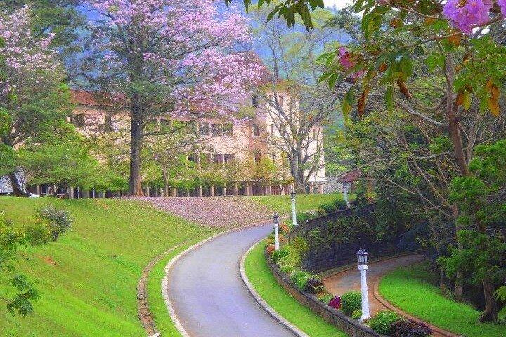Kandy Safe Toursによるプライベートキャンディ観光ツアー