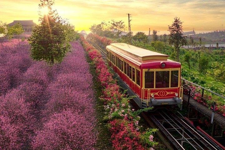 ファンシパン・サパ – ケーブルカー、山頂トレッキング、またはガイド付きツアー