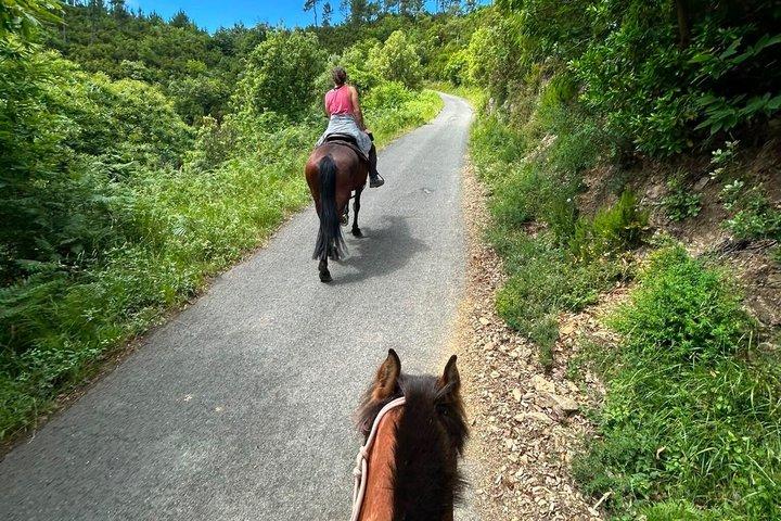 モンテロッソ アル マーレ チンクエ テッレの海岸での乗馬
