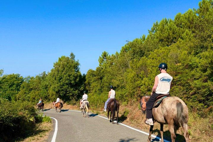モンテロッソ アル マーレ チンクエ テッレの海岸での乗馬