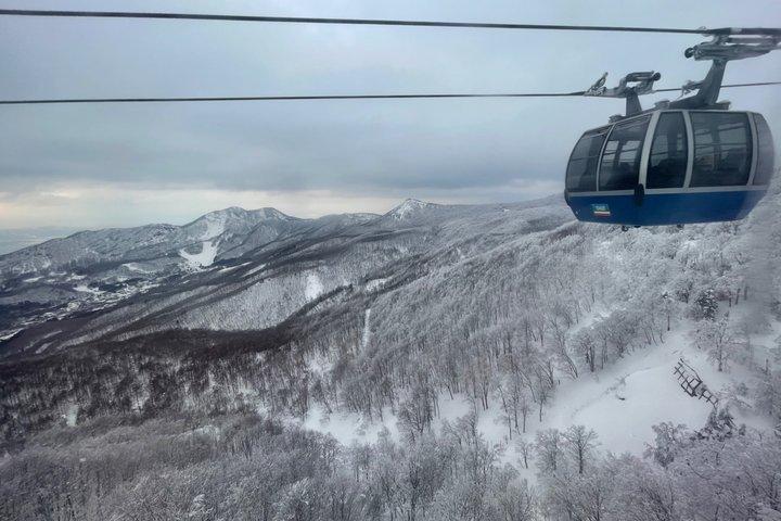 東京からのザオロープウェイとスノーモンスター日帰り旅行（電車）