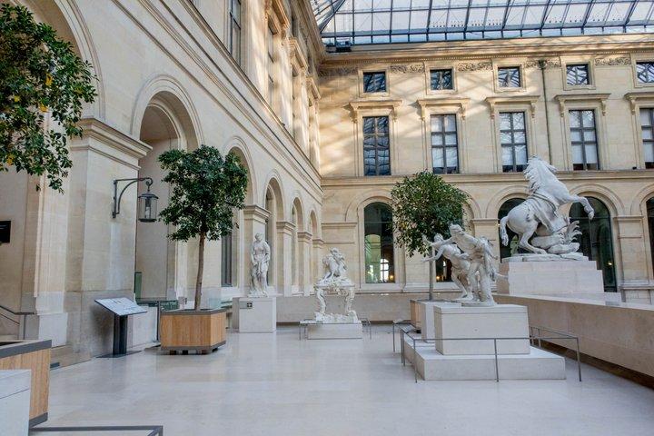 Louvre Accesso riservato con opzione Torre Eiffel e crociera