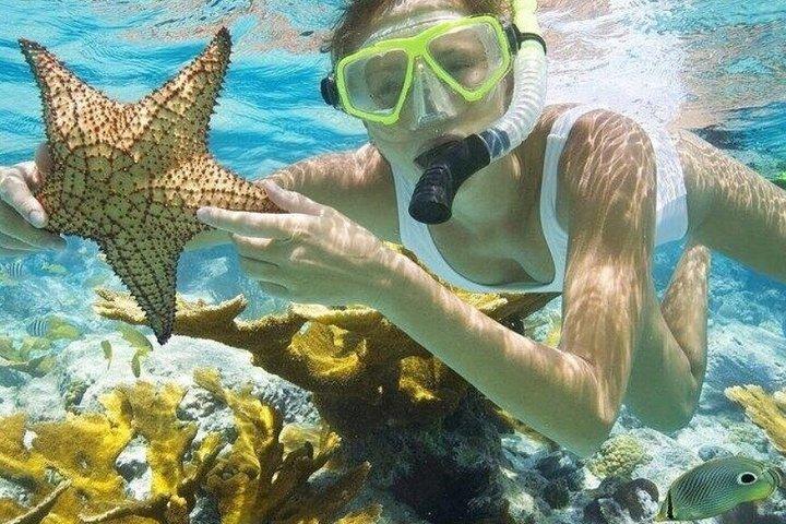 クルーズフレンドリーなナッソー観光とビーチエスケープ