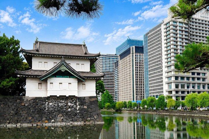 Tokyo: Imperial Palace and Shogun Historical Walking Tour