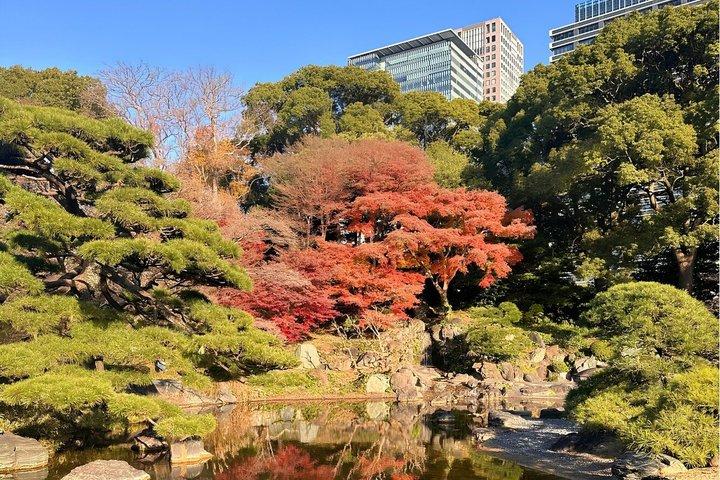 東京: 皇居と将軍歴史散策ツアー