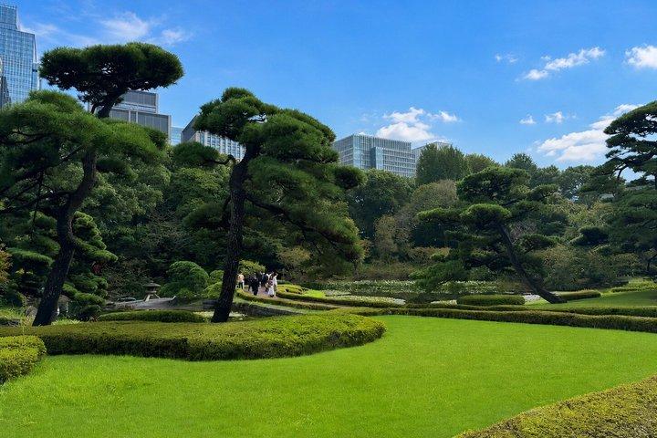 東京: 皇居と将軍歴史散策ツアー