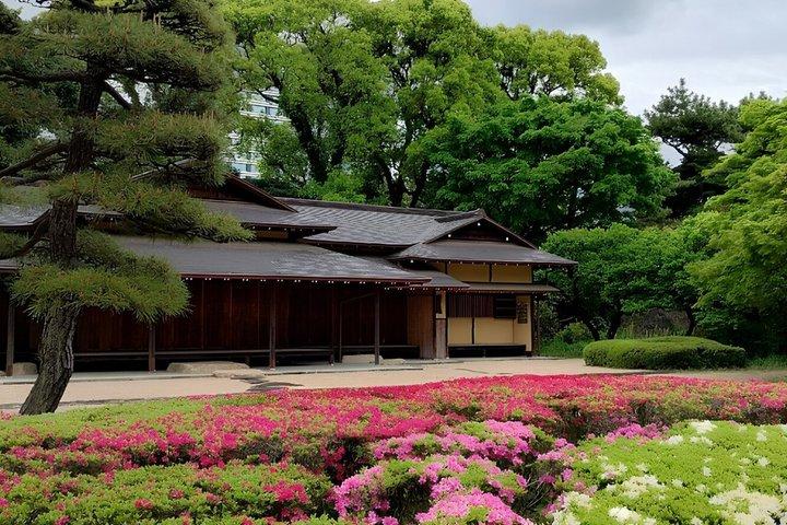 東京: 皇居と将軍歴史散策ツアー