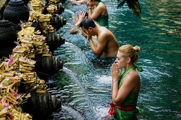 Halbtages-Highlights Ubud mit Affenwald, Wasserfall und Tempel
