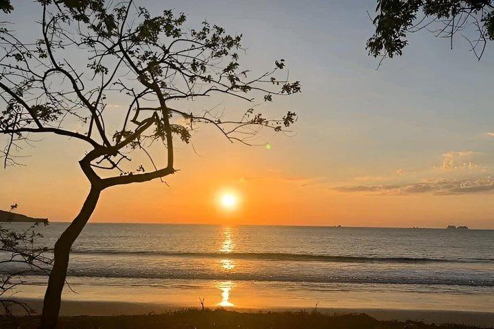 Exotic Beaches Excursion & Refreshing in a Waterfall (half day)
