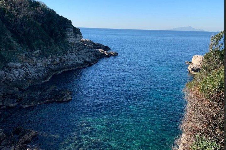 ソレントの水中世界を探検しよう：3時間 PADI 午後体験ダイビング