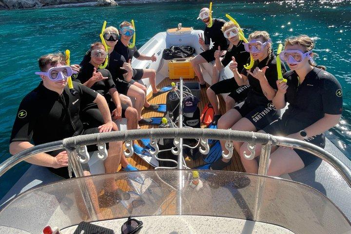 ソレント発、午後3時間シュノーケリングツアー（RIBボート、海洋生物学者同行）