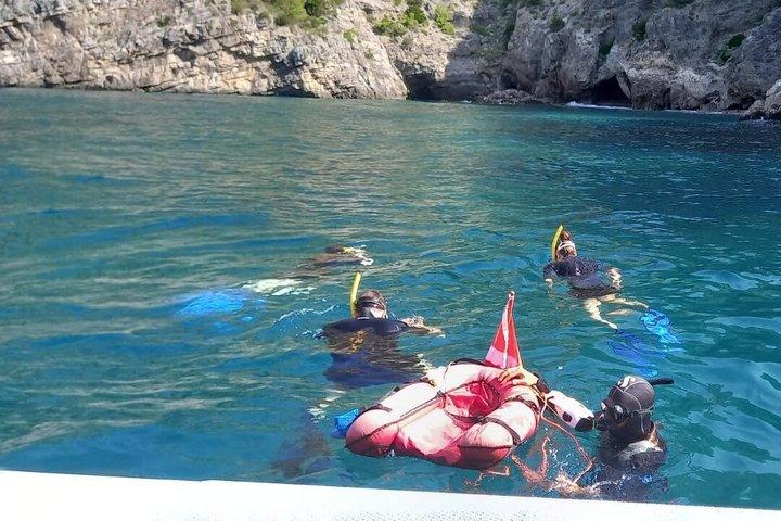 ソレント発、午後3時間シュノーケリングツアー（RIBボート、海洋生物学者同行）