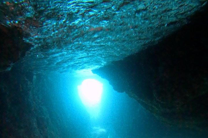 ソレント発、午後3時間シュノーケリングツアー（RIBボート、海洋生物学者同行）