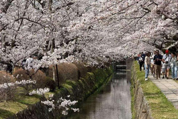 大阪発京都旅行プライベートバンチャーター